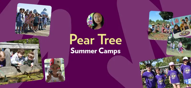 Pear Tree Summer Camps cover: purple background with the camps logo surrounded by photos of children at camp activities