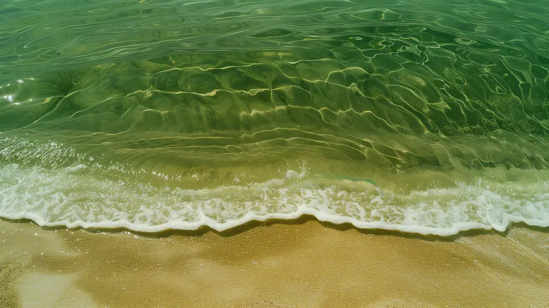 Clear green waves running over golden sand, with sunlight shimmering on the water.