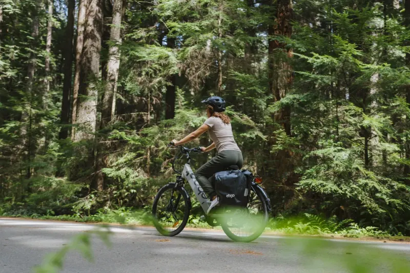 A rider on an EBGO e-bike on a forest road among tall cedars