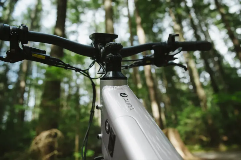 Close-up of the EBGO handlebar and display, trees above
