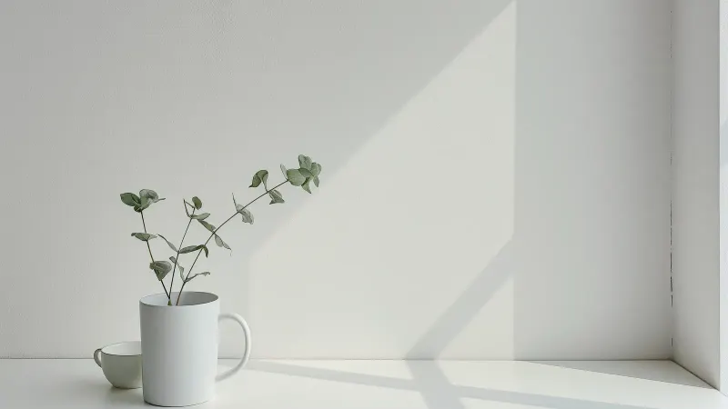 A white mug and a green sprig on a sunlit white shelf.