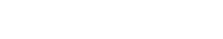 Shopify Partner