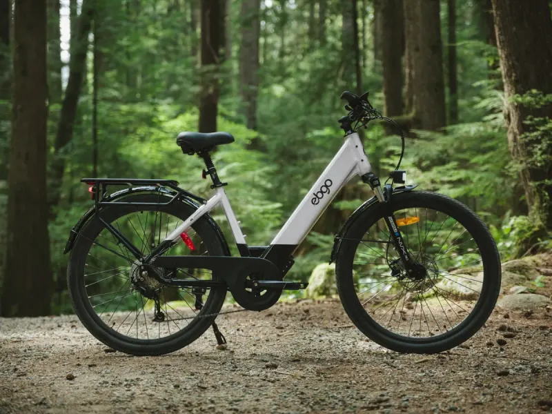 An EBGO e-bike standing on a gravel clearing in a cedar forest