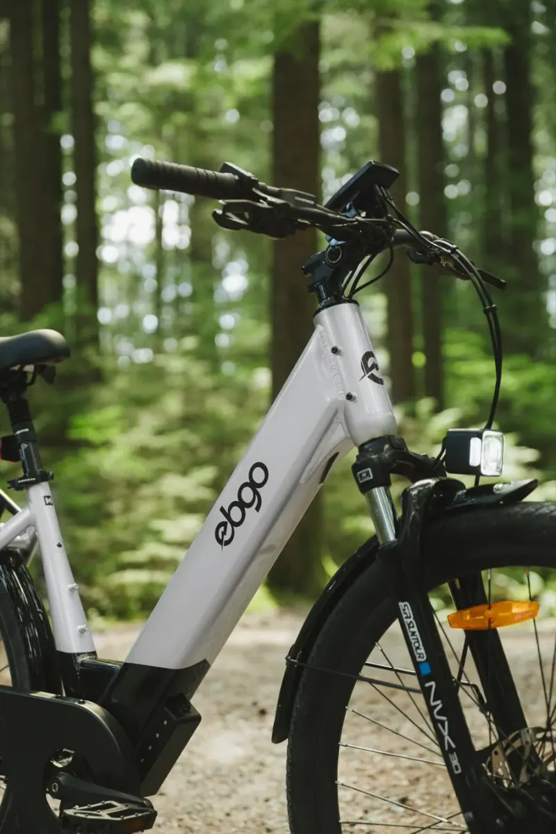 The EBGO logo on the frame, close up, on a forest trail