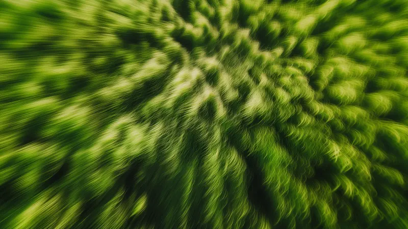 Green grass blurred by motion into streaks.