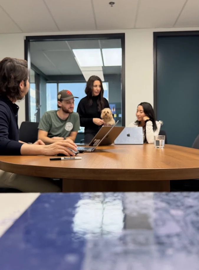 The Setsail team around a meeting-room table