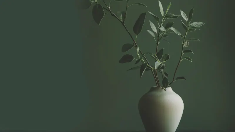 A white vase of leafy green branches against a deep green background.